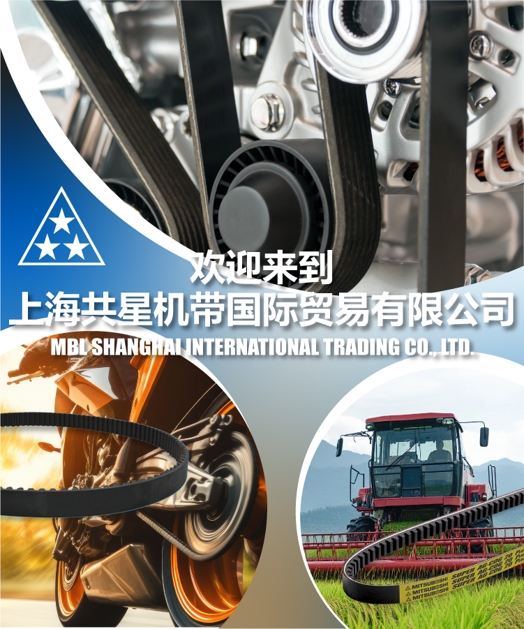 欢迎来到 上海共星机带国际贸易有限公司