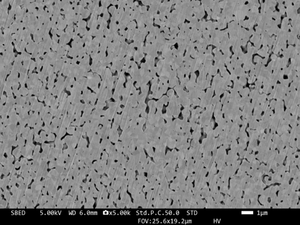 <small>烧结条件：100°C，10 min，空气气氛→260°C，10 MPa，5 min，N₂气氛</small>